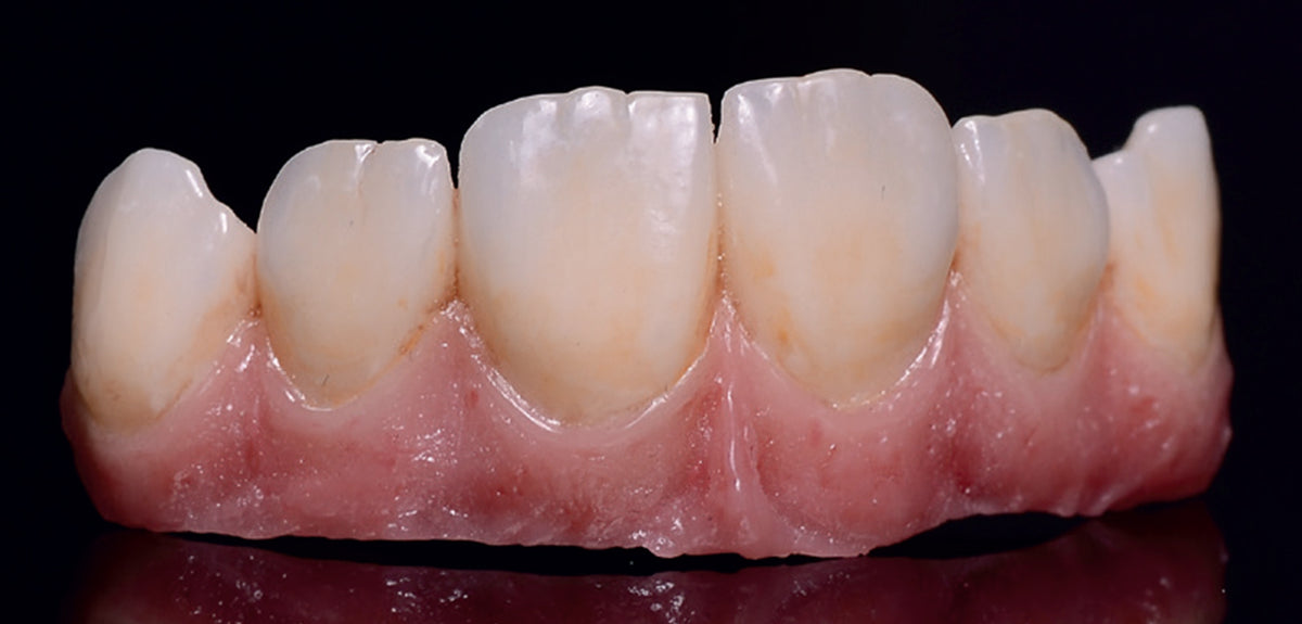 Sagemax NexxZr® Plus super high translucent zirconia white for Zirkonz