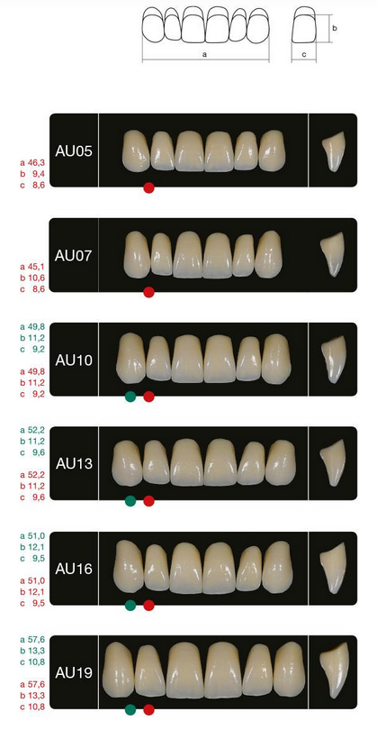 Creation Creopal SHELLS - Maxilar Anterior (upper) | Impulsedent Australia