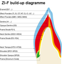 Creation ZI-F / Dentine (D), 20g or 50g