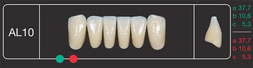 Creation Creopal Shell Teeth Mould SAL10, 6er