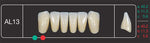 Creation Creopal Shell Teeth Mould SAL13, 6er