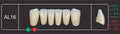 Creation Creopal Shell Teeth Mould SAL16, 6er