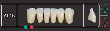Creation Creopal Shell Teeth Mould SAL16, 6er