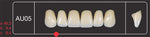 Creation Creopal Full Teeth Mould AU05, 6er