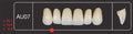 Creation Creopal Full Teeth Mould AU07, 6er