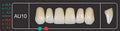 Creation Creopal Shell Teeth Mould SAU10, 6er