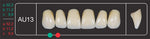 Creation Creopal Shell Teeth Mould SAU13, 6er