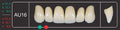 Creation Creopal Shell Teeth Mould SAU16, 6er
