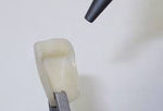 Bredent combo.lign luting composite Dentine A1-D4,BL3 and GUM, 8g