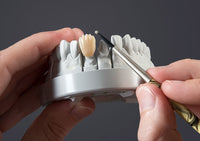 Bredent crea.lign gel composite Dentine A1-D4 and BL3, 5g