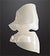 Bredent novo.lign Veneers Teeth – Upper posterior W3, Q1 right upper