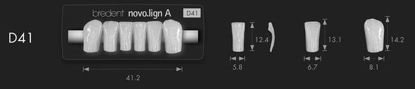 Bredent novo.lign Veneers Teeth – Lower anterior D41, 6er