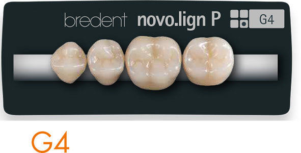 Bredent novo.lign Veneers Teeth – Lower posterior G4, Q3 left lower