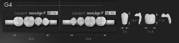 Bredent novo.lign Veneers Teeth – Lower posterior G4, Q3 left lower