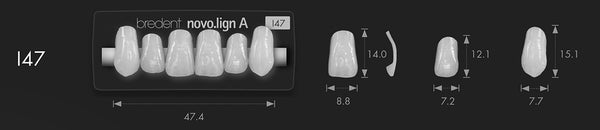 Bredent novo.lign Veneers Teeth – Upper anterior I47, 6er