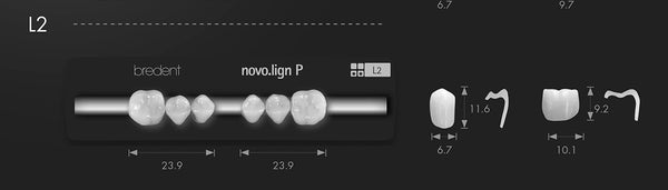 Bredent novo.lign Veneers Teeth – Lower posterior L2, 3 left and 3 right