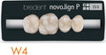 Bredent novo.lign Veneers Teeth – Upper posterior W4, Q1 right upper
