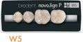 Bredent novo.lign Veneers Teeth – Lower posterior W5, Q3 left lower