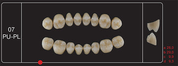 Creation Creopal Full Teeth Mould PU07, 8er