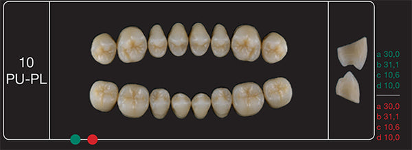 Creation Creopal Shell Teeth Mould SPU10, 8er
