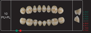 Creation Creopal Full Teeth Mould PU10, 8er
