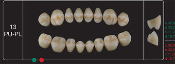 Creation Creopal Shell Teeth Mould SPU13, 8er