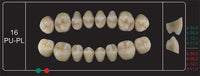 Creation Creopal Shell Teeth Mould SPU16, 8er
