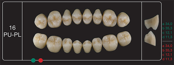 Creation Creopal Full Teeth Mould PL16, 8er
