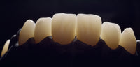 Sagemax NexxZr®+ Multi aesthetic. Multilayer high translucent zirconia precoloured (A-D shades) for Open CAD/CAM system, 1 pc